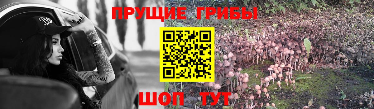 Минусинск  Галлюциногенные грибы мухоморы  Вход с VPN 