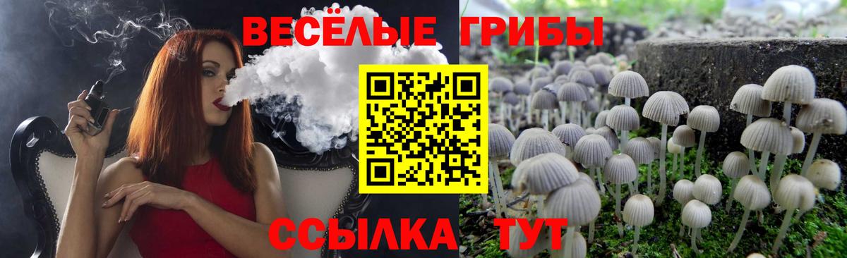 Псилоцибиновые грибы Magic Shrooms Минусинск